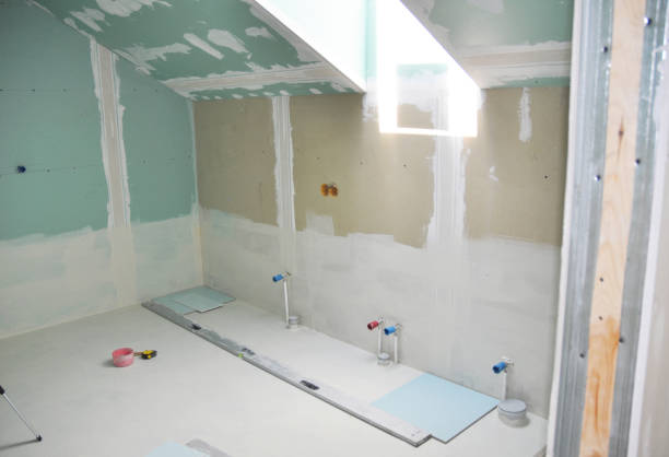 Best Mold Remediation for Healthcare Facilities  in Skippers Corner, NC