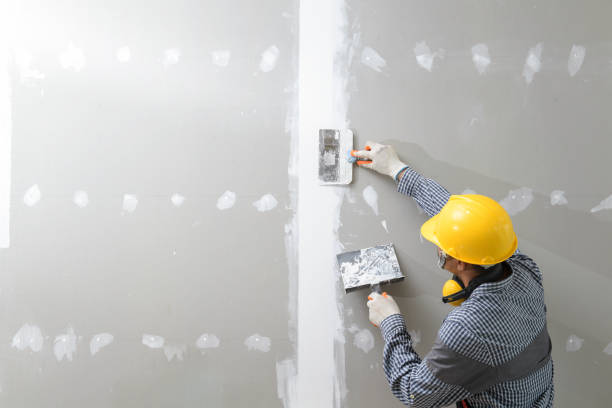 Best Post-Remediation Verification Testing  in Skippers Corner, NC
