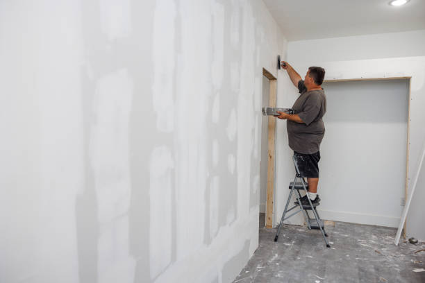 Best Emergency Mold Remediation  in Skippers Corner, NC