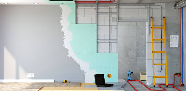 Mold Odor Removal Services in Skippers Corner, NC